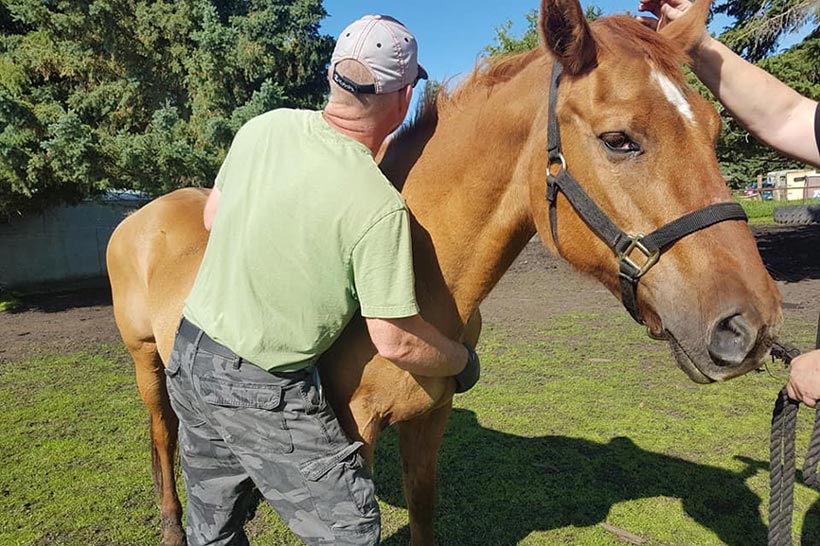 Rider on Horse