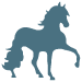 Horse Icon