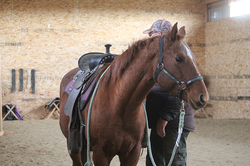 Rider on Horse